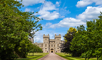 bus tours from cork ireland